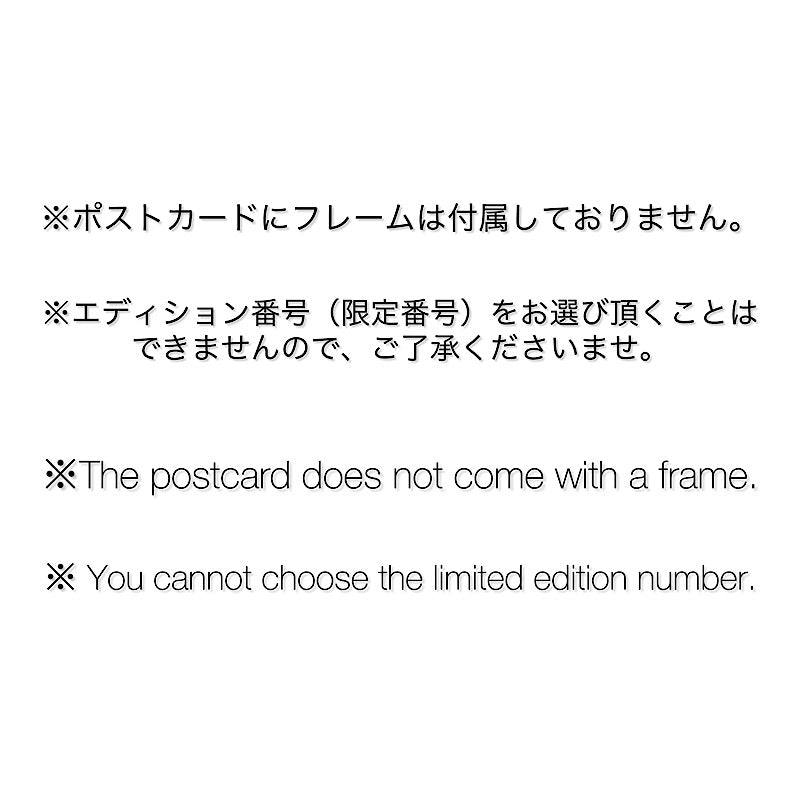 【限定ポストカード】前田 勝弘(Katsuhiro MAEDA)「100部限定オリジナルポストカード(ヤバソウなスイッチをマヨワズおせる... そんなヒトにワタシハナリタイ with 九藏&小滴)」