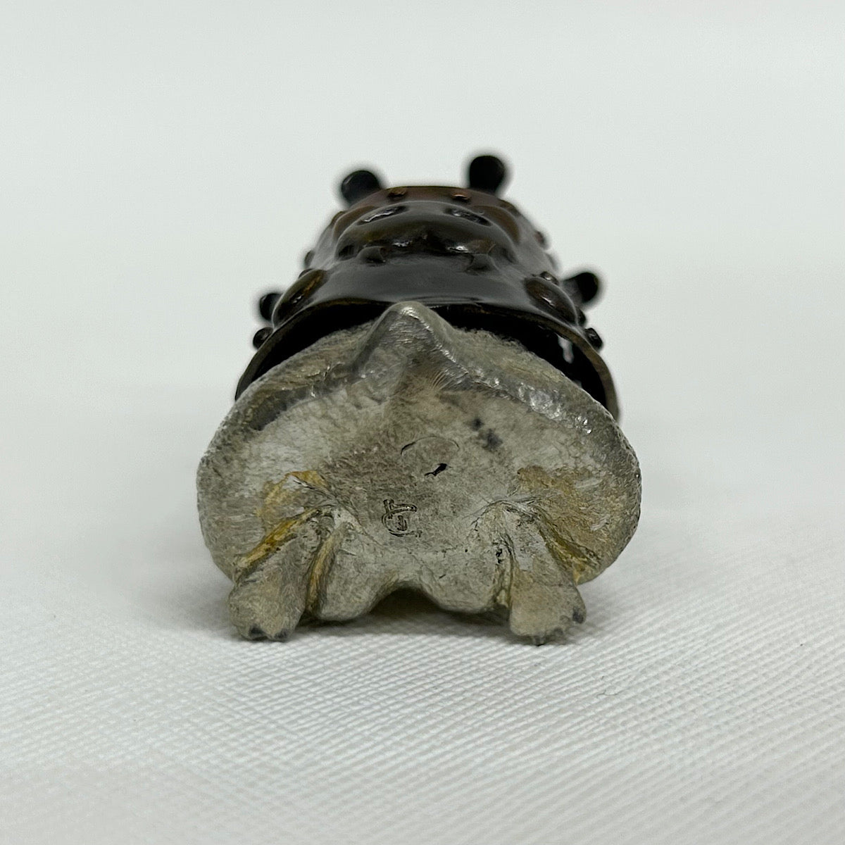 祝迫 芳郎（Yoshiro IWAISAKO）「窮鼠の陣 〜兜〜」