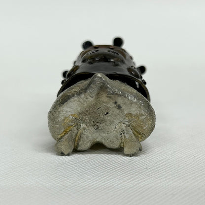 祝迫 芳郎（Yoshiro IWAISAKO）「窮鼠の陣 〜兜〜」