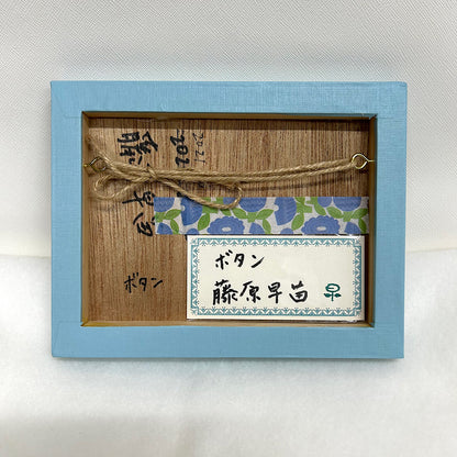 藤原 早苗（Sanae FUJIWARA）「ボタン」